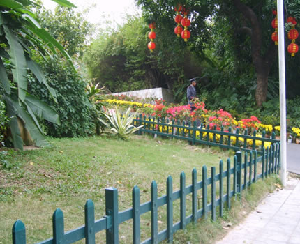 1615345902644757.jpg 22.jpg